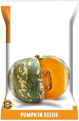 CYBEXIS HUA-14 - GREEN PUMPKIN - (100 Seeds) Seed(100 per packet)