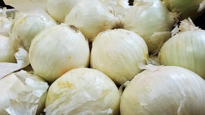 WATIKA Sweet WHITE SPANISH ONION Seed(3000 per packet)