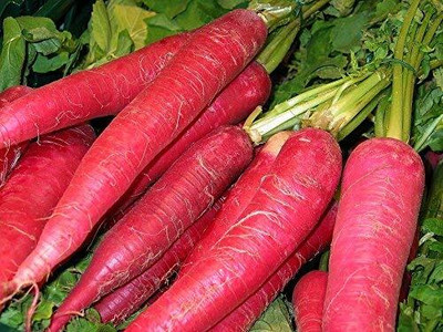Aywal Red Long Mooli Seed(2000 per packet)