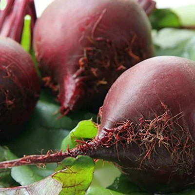 CYBEXIS Nutritious Red Non-GMO Beetroot Seeds 2000 Seeds Seed(2000 per packet)