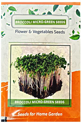 WILLVINE NKR -XI Organic Non-gmo Sprouting Seeds Broccoli [10g] Seed(3000 per packet)