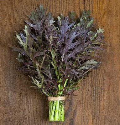 VibeX LX-13 - Mustard Greens Ruby Streaks(Maroon) - (750 Seeds) Seed(750 per packet)