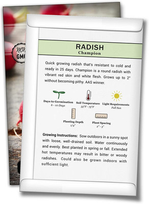 WILLVINE ® Champion Radish Seeds Seed(2500 per packet)