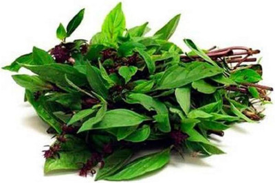 WILLVINE Thai Basil Seeds-Non-GMO Particular Sweet Flavored herb-[2000 Seeds] Seed(2000 per packet)