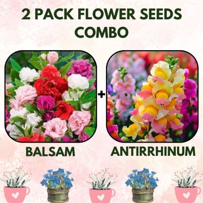 Infiniteseeds 2 Pack Combo of Balsam and Antirrhinum Flower Seeds Seed(2 per packet)