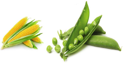 CYBEXIS Combo of Peas and Sweet Corn Seed(10 g)