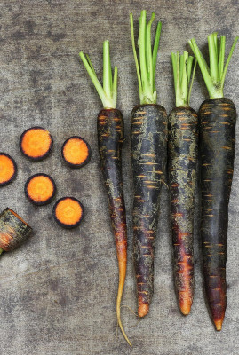 SeedHaven Carrot fresh organic seeds Seed(120 per packet)