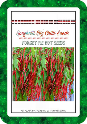 KNESSiN Speghetti Big Chilli High Quality Hybrid Variety[400 Seeds] Seed(400 per packet)