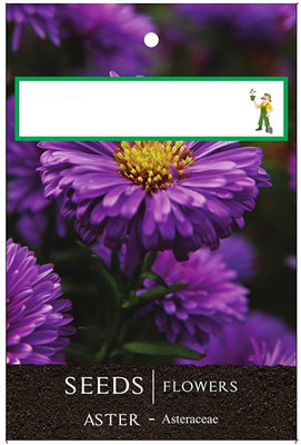 CYBEXIS Aster Formula Mixed Flower Seeds Seed(50 per packet)