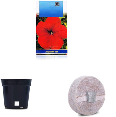 VibeX CBZ-47-Petunia Scarlet Red F1 Hybrid Combo with Potter & Rootplug Seed(35 per packet)