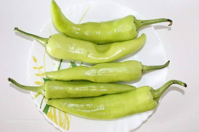 ibains Desi chilli seeds Seed(365 per packet)
