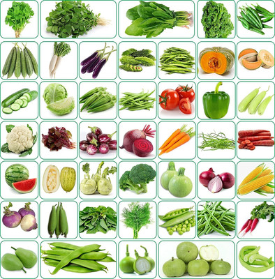 CRGO 40 Vaeriety of Organic Vegetable Seeds Combo Suitable For All Season Seed(5200 per packet)