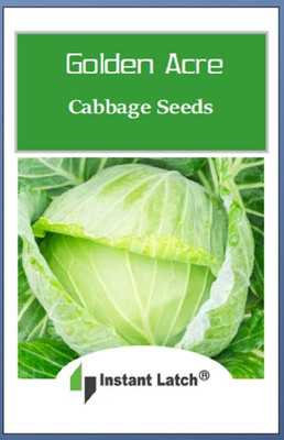 WILLVINE HAR -VI Golden Acre Cabbage Seeds [50g] Seed(15000 per packet)