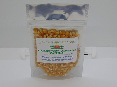 WILLVINE SYN -X Yellow Popcorn Seed for Growing-[500g] Seed(2000 per packet)