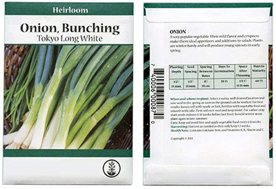 CYBEXIS Non-GMO Culinary Herb Seed Packet:Tokyo Long White Bunching Onion1000 Seeds Seed(1000 per packet)