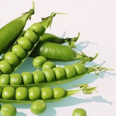Quentova Green Peas-DLX-6P Seed(300 per packet)