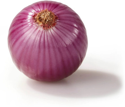 WATIKA Red Onion Seed(2000 per packet)