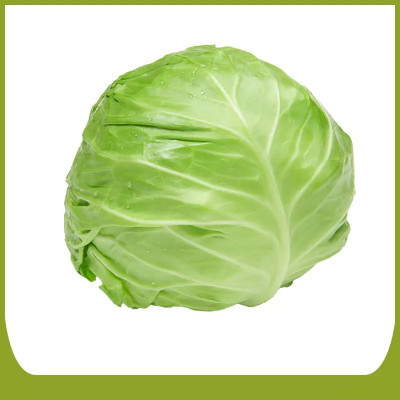 MYLAWN Organic green cabbage Seed(800 per packet)