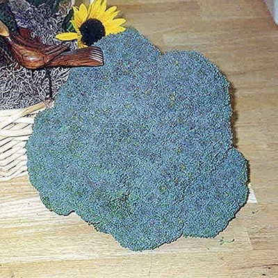 WILLVINE AMR -XI Athlete F1 Hybrid Broccoli Seeds [25g] Seed(7500 per packet)