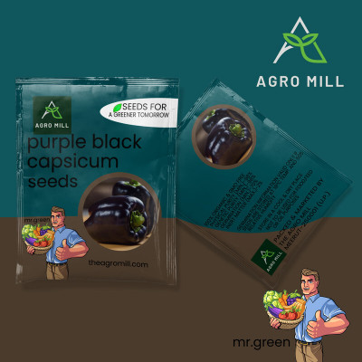 AGRO MILL BLACK PURPLE CAPSICUM BELLPEPPER/ SHIMLA MIRCH/HIGH GERMINATION/EXOTIC VEGETABLE Seed(25 per packet)