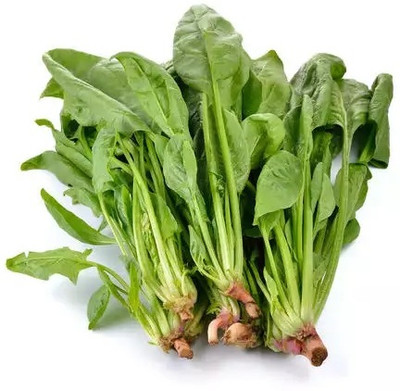 MYLAWN High Quality Spinach Palak Vegetables Seed(2000 per packet)