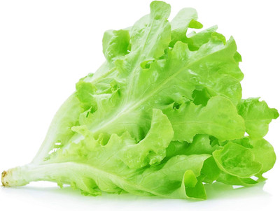 Qualtivate LX-610 Lettuce Seeds - Leaf - Royal Oakleaf Seed(200 per packet)