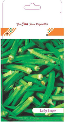 CYBEXIS Lady-Finger Hybrid Seeds800 Seeds Seed(800 per packet)