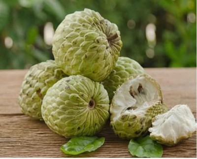 Aywal Custard Apple Hybrid Seed(15 per packet)