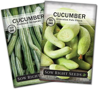 VibeX ® VMR-421 Armenian Pale Green & Painted Serpent Cucumbers Seed(200 per packet)