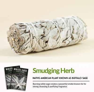 CYBEXIS GBPUT-78 - White Sage - (1350 Seeds) Seed(1350 per packet)