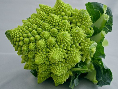 CYBEXIS NBIR-93 - Romanesco (Mandir -Temple Type) - (450 Seeds) Seed(450 per packet)