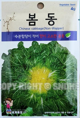 WILLVINE PAU -III Spring Cabbage Seeds Korean [2.5g] Seed(750 per packet)