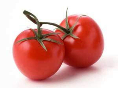 CYBEXIS Nath Amrut-210 Hybrid Tomato2000 Seeds Seed(2000 per packet)