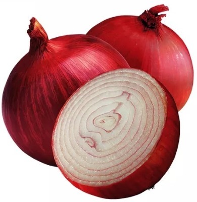 Quentova Nasik Onion-CTU-7P Seed(300 per packet)