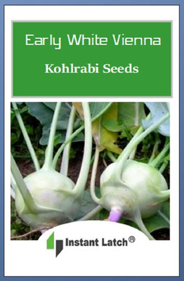 WILLVINE PUAS -VIII Kholrabi/Knolkhol Superschmelz F1 Hybrid [25g] Seed(7500 per packet)