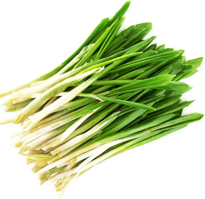 KNESSiN Leek/Chives Seed(1250 per packet)