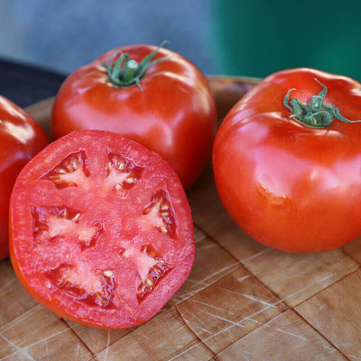 Quentova Tomato Red Snapper-XIL-10T Seed(250 per packet)
