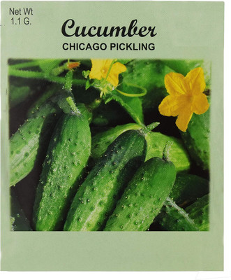 Qualtivate GBPT-2A Cucumber Chicago Pickling Seed Seed(300 per packet)