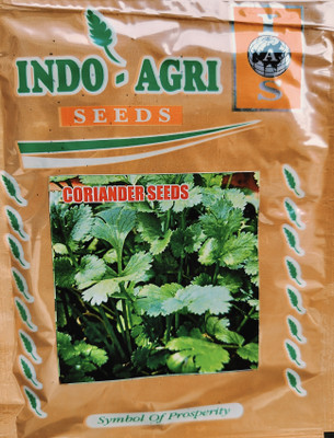 HYBRID 20g Desi coriander malti cutting seeds and soft green dhaniya seeds Seed(1 per packet)