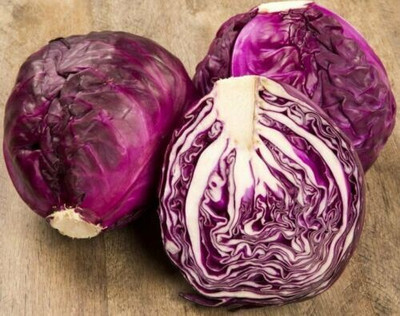 Avysa Cabbage Red Acre Giant Seed(100 per packet)