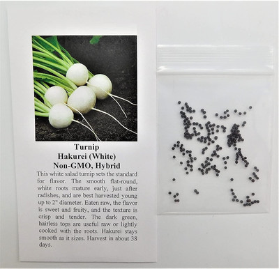 Quentova Hakurei Turnip 5g Seed(1000 per packet)