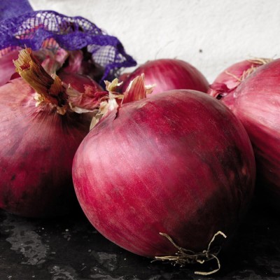 Qualtivate PUA5-A Redwing F1 Onion Seed(500 per packet)