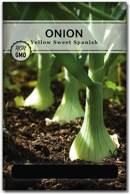 CYBEXIS XL-80 - Yellow Spanish Onion - (4500 Seeds) Seed(4500 per packet)