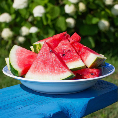 Biosnyg Heirloom Crimson Sweet Watermelon Fruit Seeds for Garden-(50 Seeds) Seed(50 per packet)