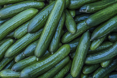 Qualtivate FXL-5AT Burpless Hybrid Cucumber Seeds Seed(300 per packet)