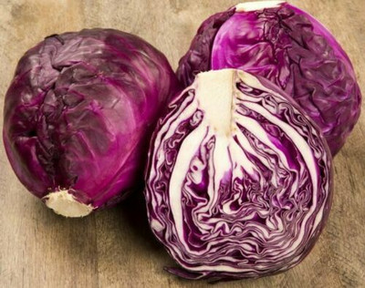 MYLAWN Cabbage Red Acre Giant Seed(100 per packet)