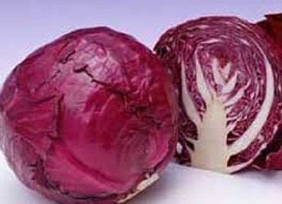 CYBEXIS High Yield Seeds of Cabbage - Red Drumhead 2000 Seeds Seed(2000 per packet)