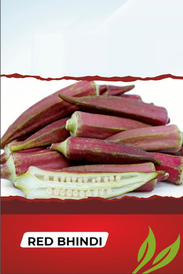 Qualtivate PUAS-1A Red F1 Hybrid LADIES FINGER Seeds Seed(350 per packet)