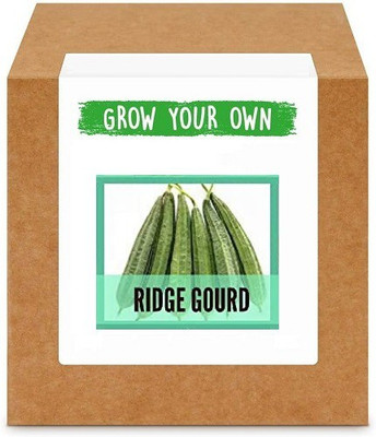 CYBEXIS Ridge Gourd200 Seeds Seed(200 per packet)
