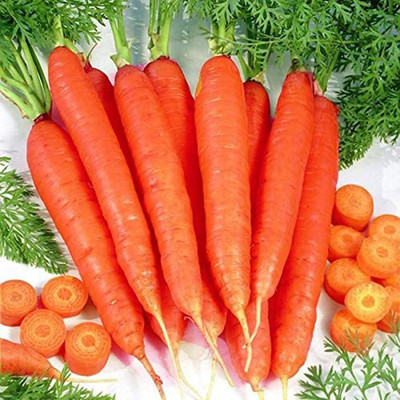 CYBEXIS Fast growing Carrot Seeds2000 Seeds Seed(2000 per packet)